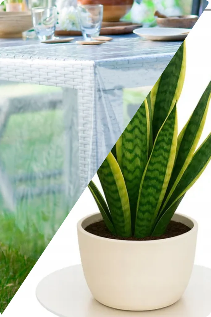 Nappe transparente sur une table de jardin